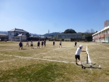 ティーボール
