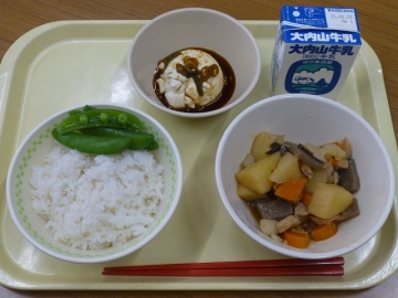 給食