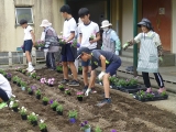 花壇に苗植え