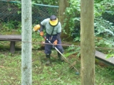 下草刈りの様子