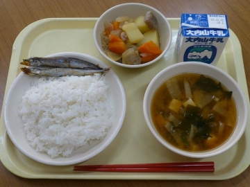 給食