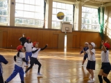 ポートボール