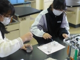 実験の様子
