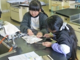 実験の様子