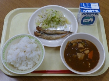 給食