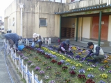 花壇の雑草とり