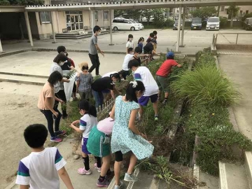園芸委員会