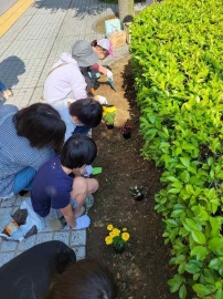 花植え１